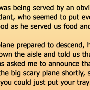 Rich Snobby Woman Gets Shut Down Hard By A Flamboyant Flight Attendant